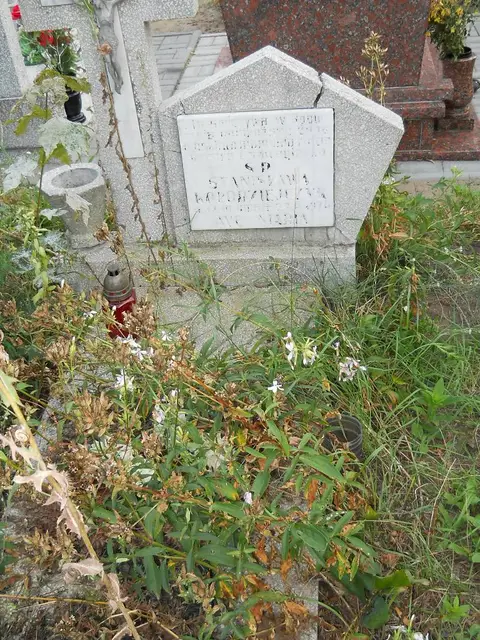 Zdjęcie grobu 14/27883