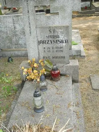Zdjęcie grobu 33/100