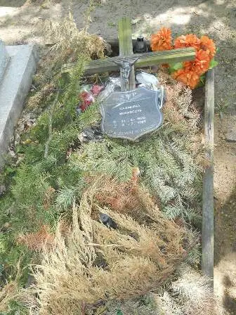 Zdjęcie grobu 26/113