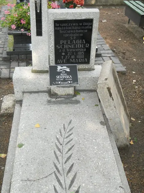 Zdjęcie grobu B/25559