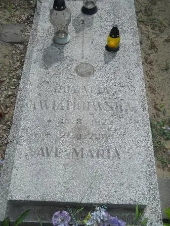 Zdjęcie grobu 25/48