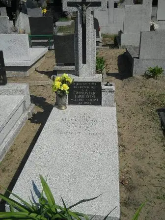 Zdjęcie grobu 30/100