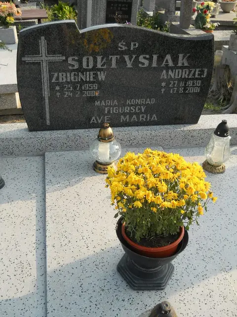 Zdjęcie grobu 23/28807