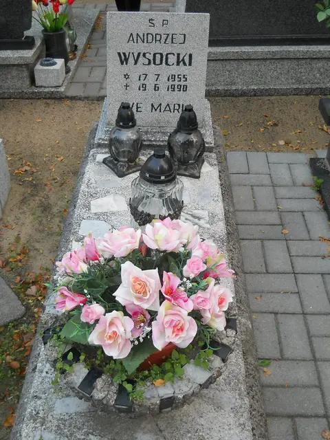 Zdjęcie grobu 14/26976