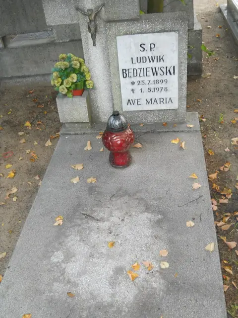 Zdjęcie grobu 14/26959