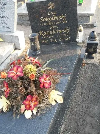 Zdjęcie grobu 4/233
