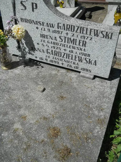 Zdjęcie grobu 8A/10263