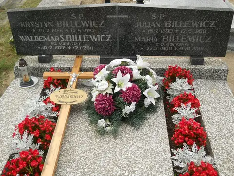 Zdjęcie grobu 9/24519