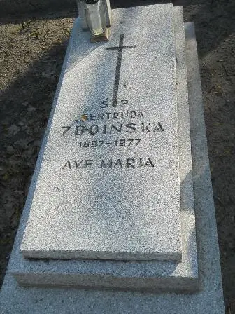 Zdjęcie grobu 2/100