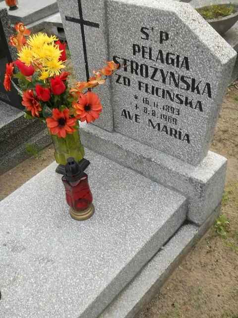 Zdjęcie grobu 8/10619