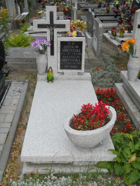 Zdjęcie grobu 18/29063