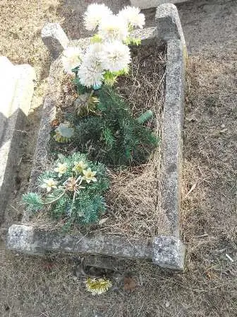 Zdjęcie grobu 100/100
