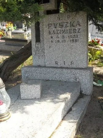 Zdjęcie grobu 46/100