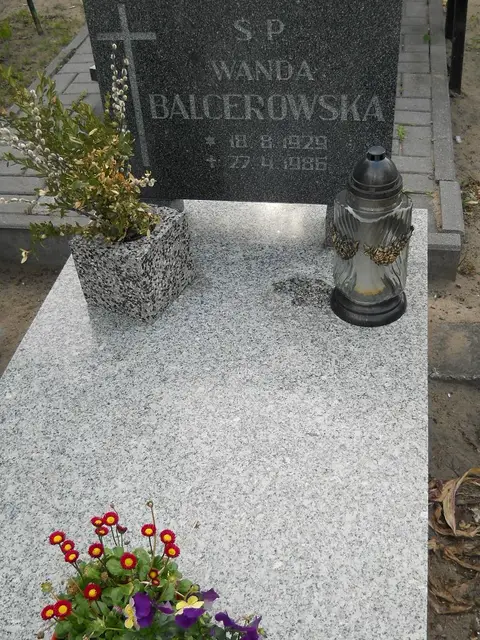 Zdjęcie grobu 8/10523