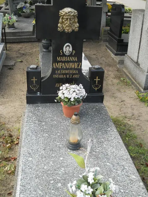 Zdjęcie grobu 12/29311