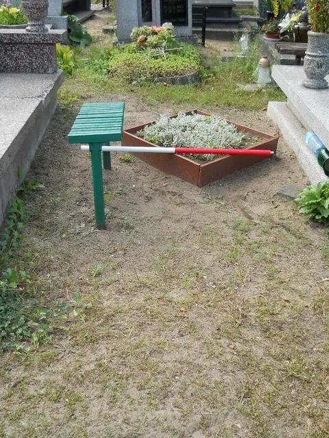 Zdjęcie grobu 12/29313