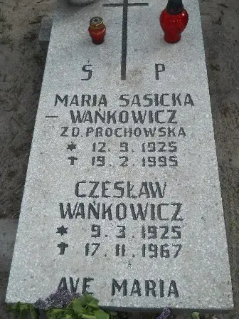 Zdjęcie grobu 22/71
