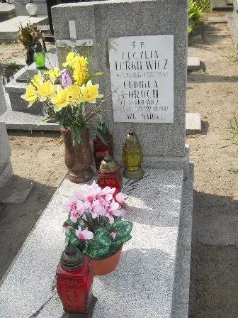 Zdjęcie grobu 20/100