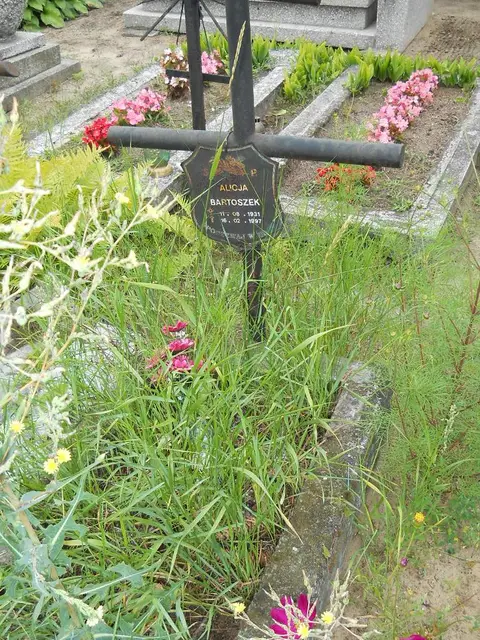 Zdjęcie grobu 5/22354