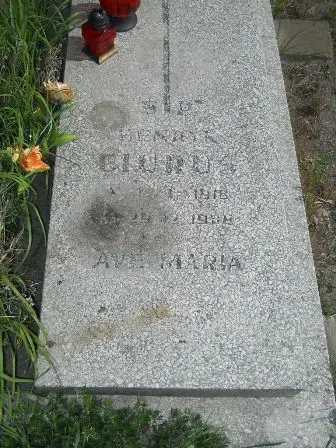 Zdjęcie grobu 25/478