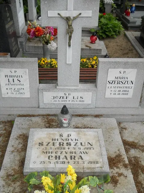 Zdjęcie grobu 8/10751