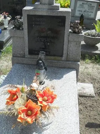 Zdjęcie grobu 25/100