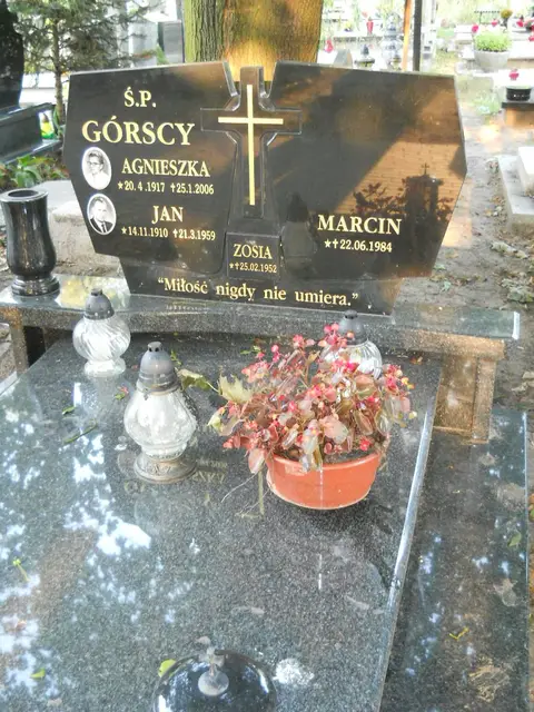 Zdjęcie grobu 14/28959