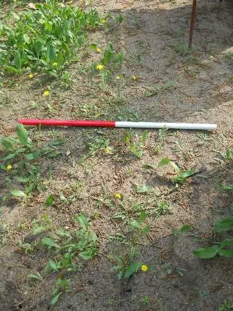 Zdjęcie grobu 33/200