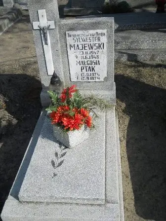 Zdjęcie grobu Dz/61