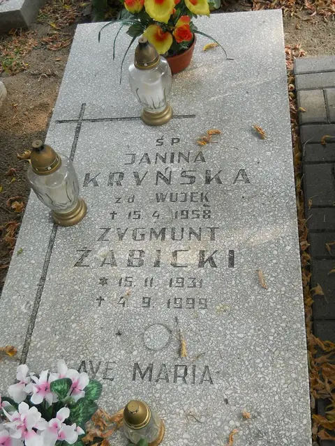 Zdjęcie grobu 15/26609