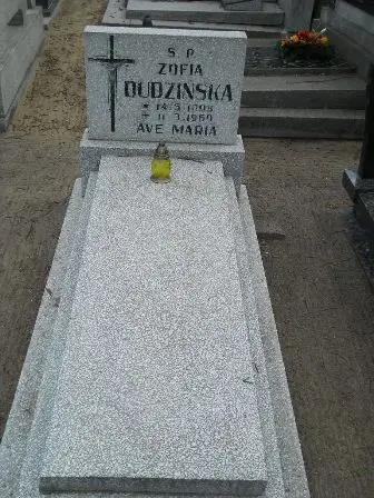 Zdjęcie grobu 40/100