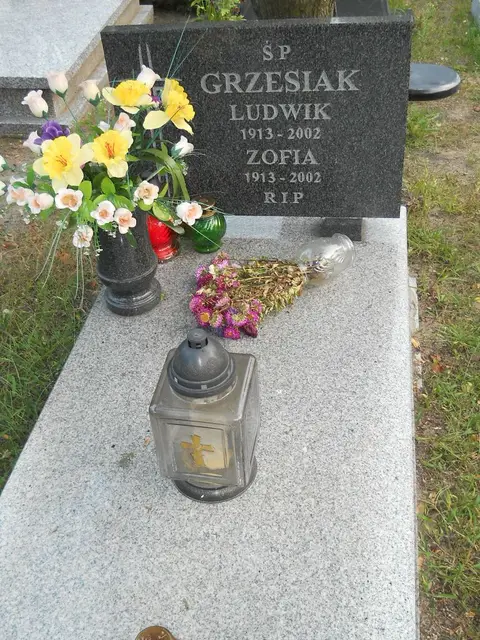 Zdjęcie grobu 14/26951