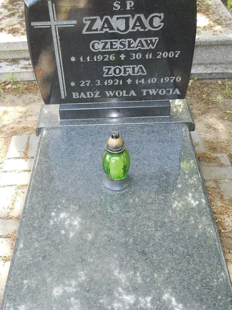 Zdjęcie grobu 8/10573