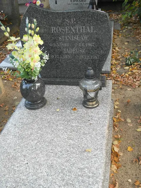 Zdjęcie grobu 15/26805