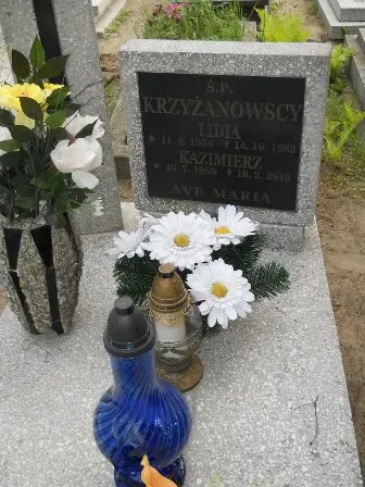 Zdjęcie grobu 23/124