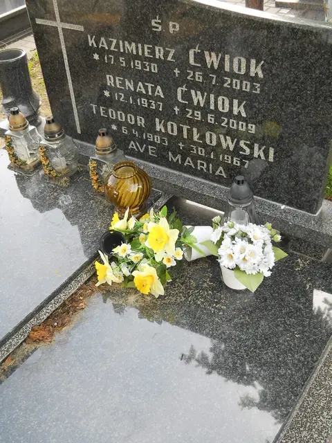 Zdjęcie grobu 8/10570