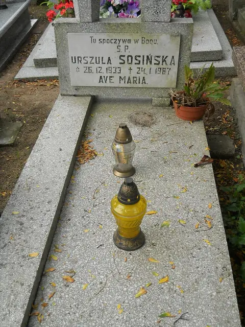 Zdjęcie grobu 14/27029