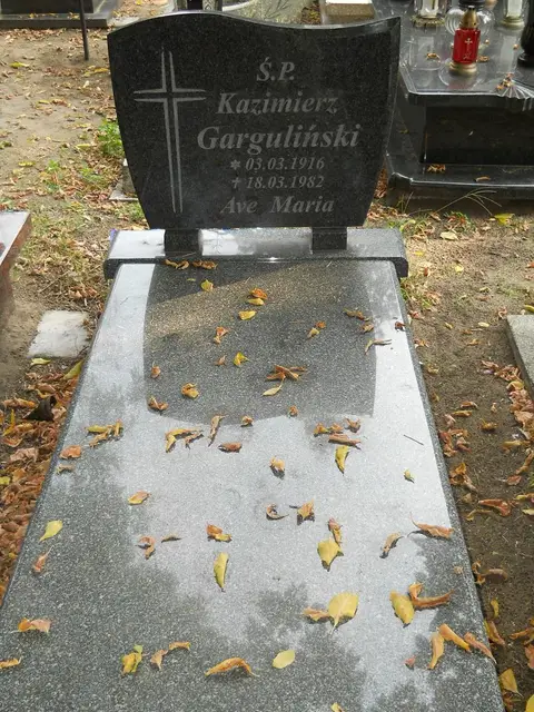Zdjęcie grobu 15/26574