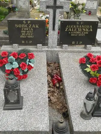 Zdjęcie grobu 20/100