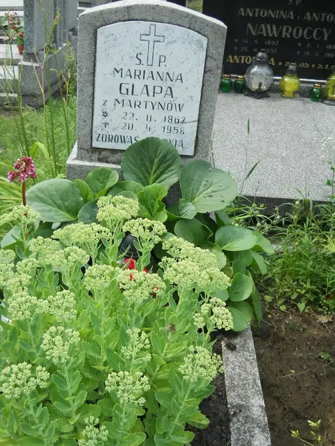 Zdjęcie grobu 5/22676