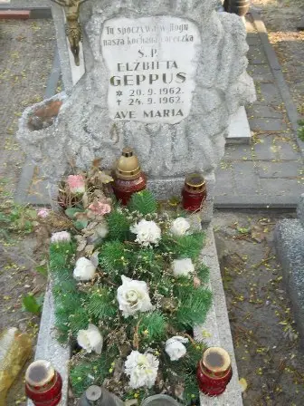 Zdjęcie grobu 7b/100