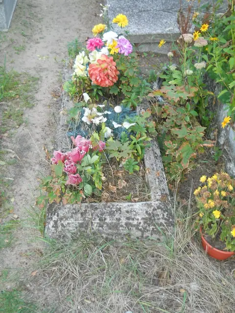 Zdjęcie grobu 17/29049