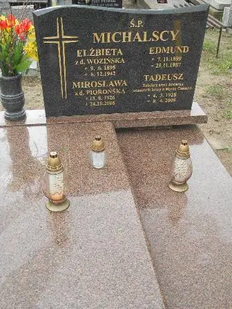 Zdjęcie grobu 36/100