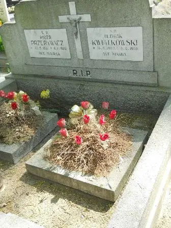 Zdjęcie grobu 30/254,255
