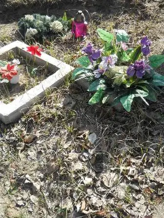 Zdjęcie grobu Dz/48a
