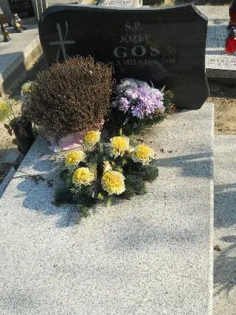 Zdjęcie grobu 9a/23,24