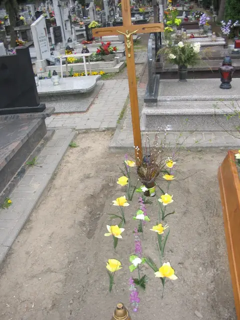 Zdjęcie grobu 8A/10018