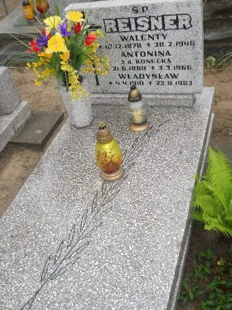 Zdjęcie grobu 36/231a