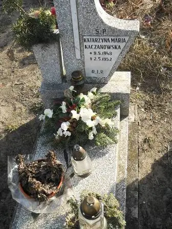 Zdjęcie grobu 6/674