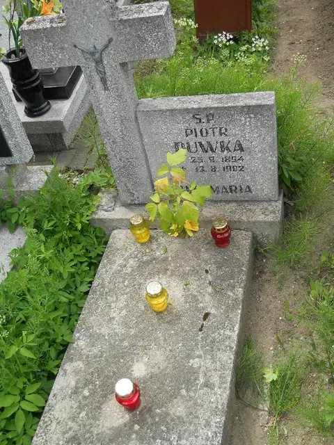 Zdjęcie grobu 7/11646